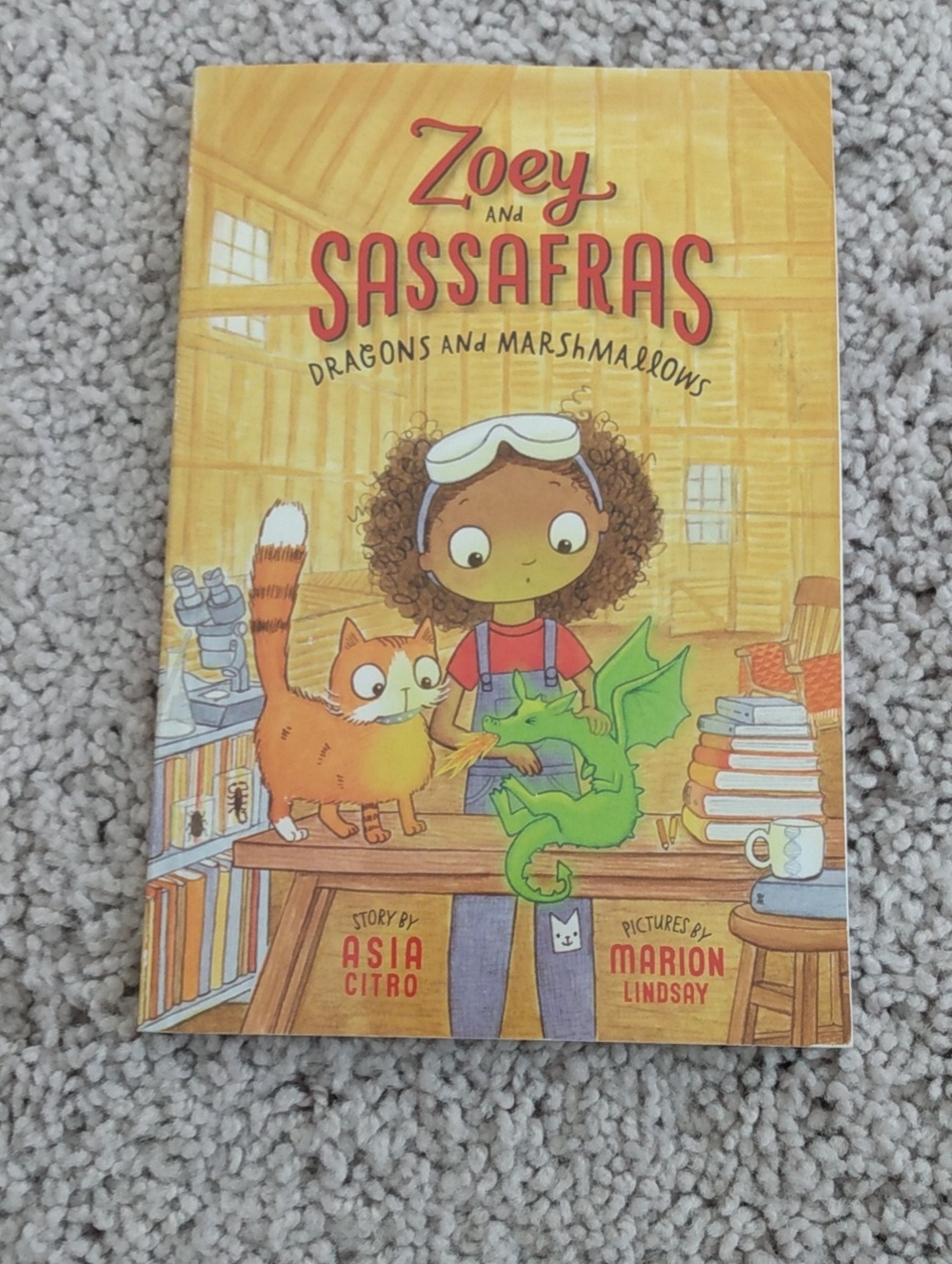 Zoey and Sassafras Dragons and Marshmallows - Yellow Cover